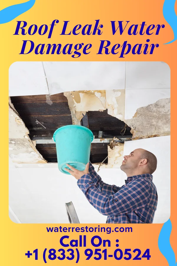 Roof Leak Water Damage Repair in Low Mountain, AZ